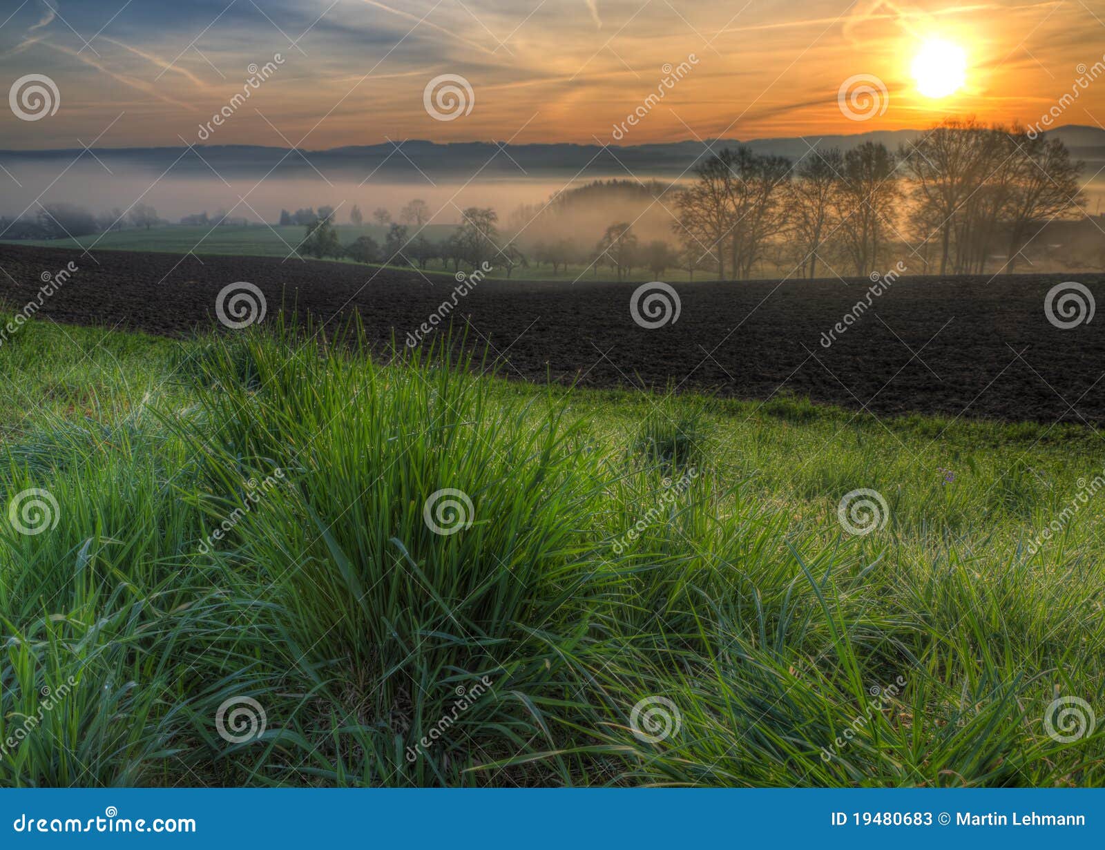 Dewy Grass At Sunrise With Fog Stock Image - Image of quiet, natural