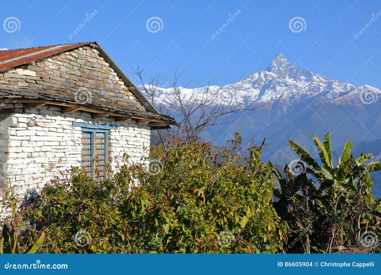 DHAMPUS, NEPAL: Casa Tradizionale Nel Villaggio Di Dhampus Vicino a ...