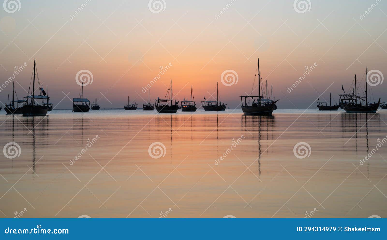 dhows in the shore parked at katara beach in qartar during dhow festival