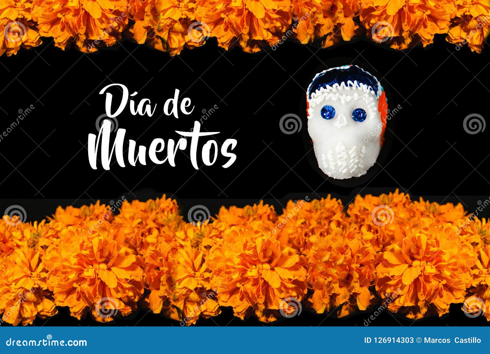 Dia De Los Muertos Flor De Cempasuchil, Day of the Dead Offering in MÃ©xico  Stock Image - Image of calaverita, cultural: 126914303