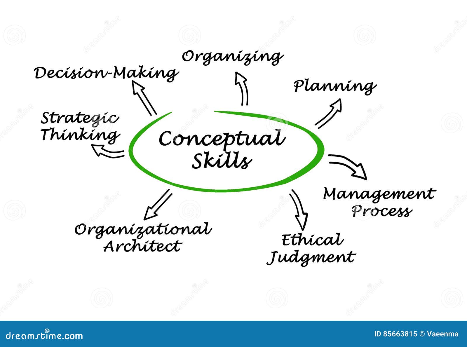Diagram Of Conceptual Skills Stock Illustration ...