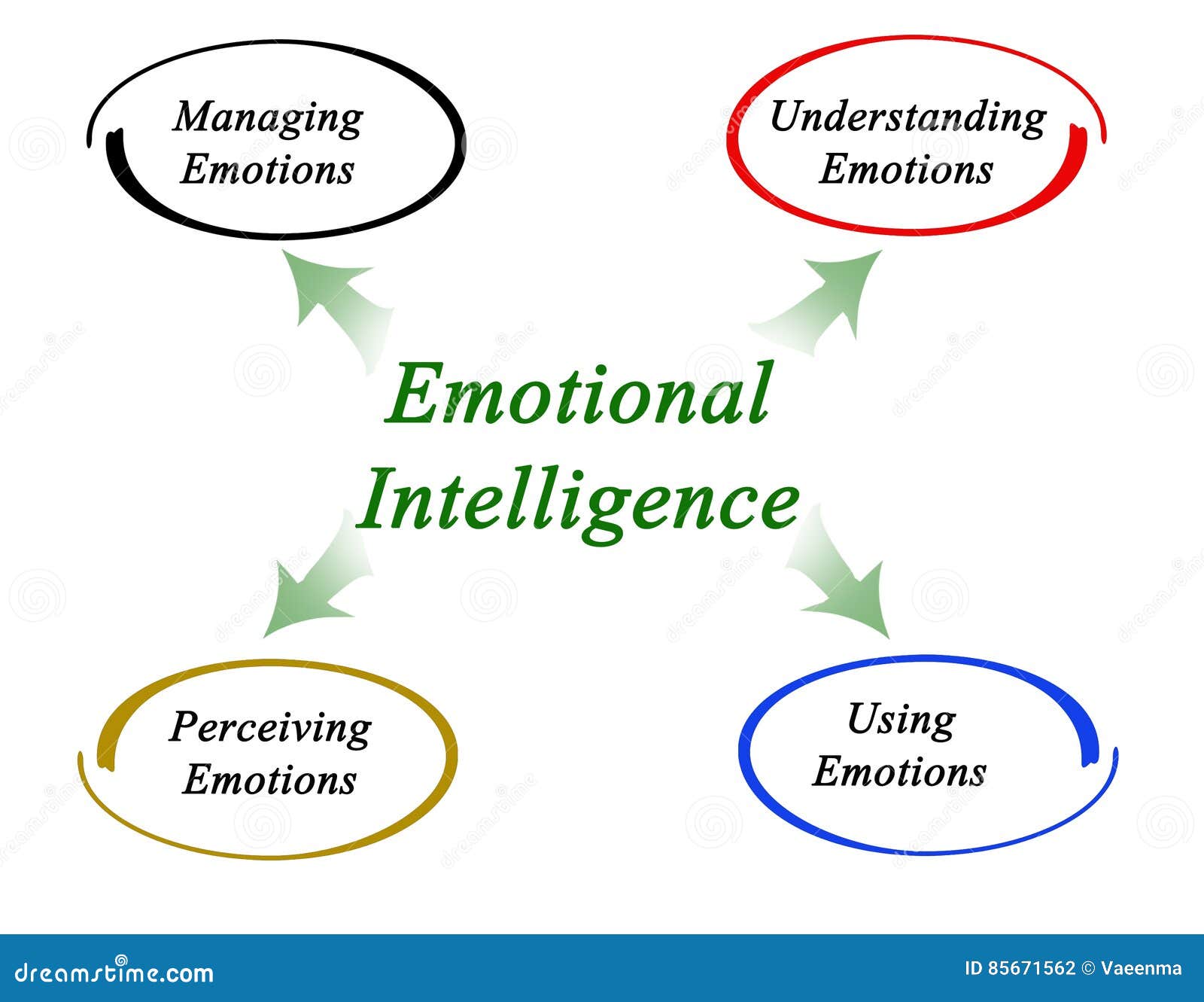 Diagram Of Emotional Intelligence Stock Illustration