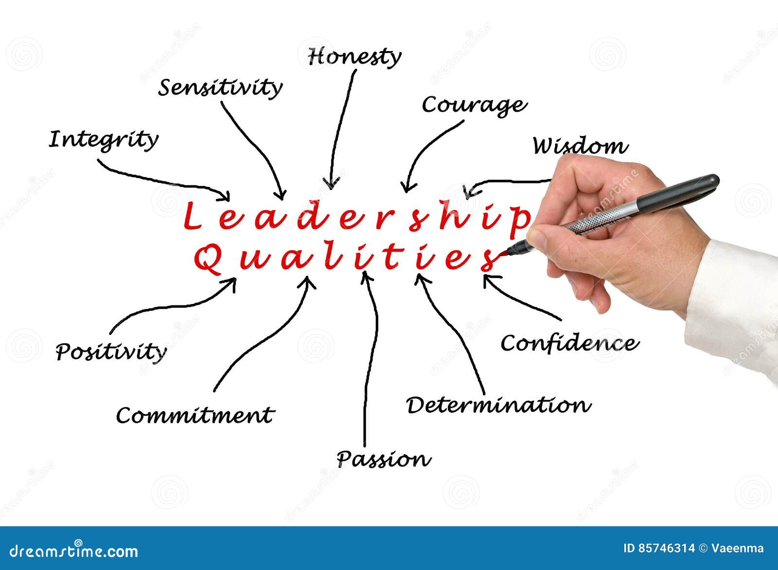 Diagram of Leadership Qualities Stock Photo Image of president