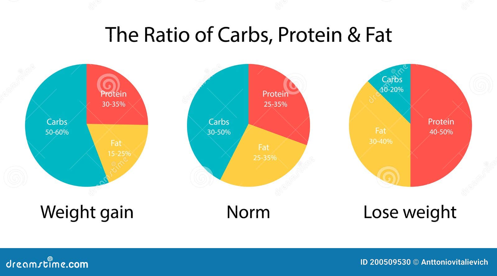 Fats And Protein Staying In Balance - Pictured As A Metal Scale With