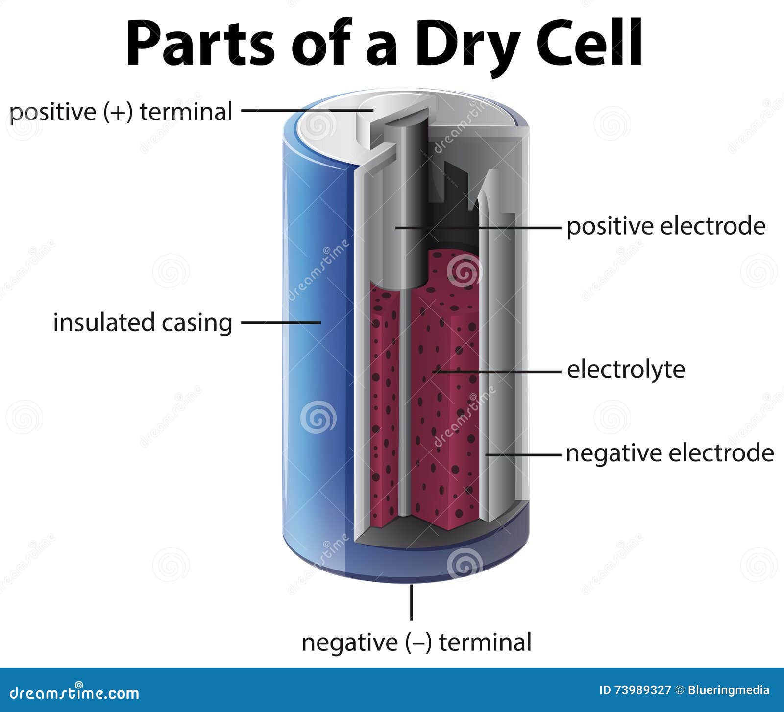 Diagram Showing Inside Of Battery Stock Vector