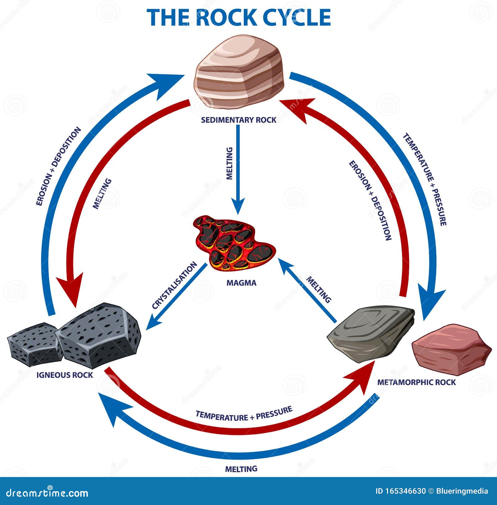 Diagram showing rock cycle stock vector. Illustration of learning For Rock Cycle Diagram Worksheet