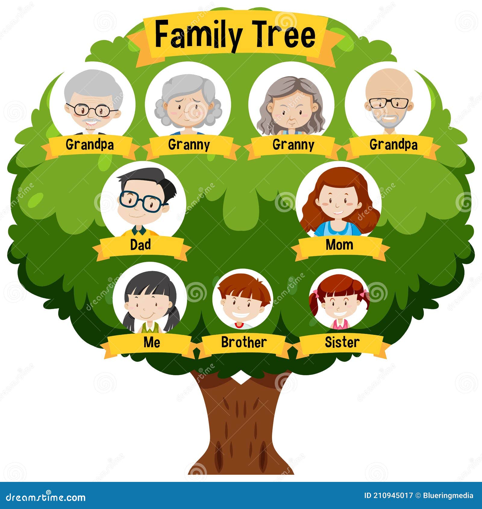 Diagram Showing Three Generation Family Tree Stock Vector Illustration Of Mother Environment 210945017