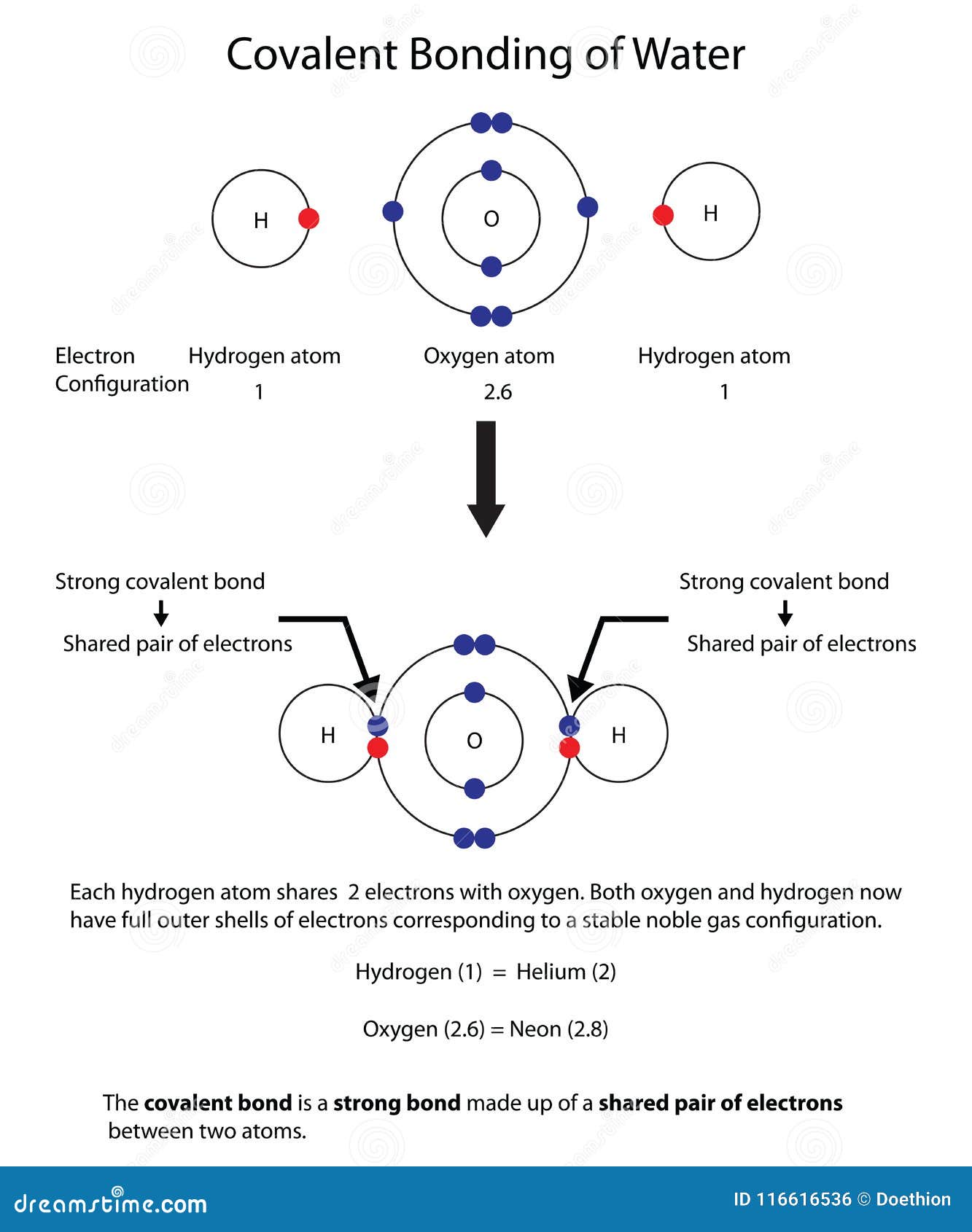 Covalent Bond Chart