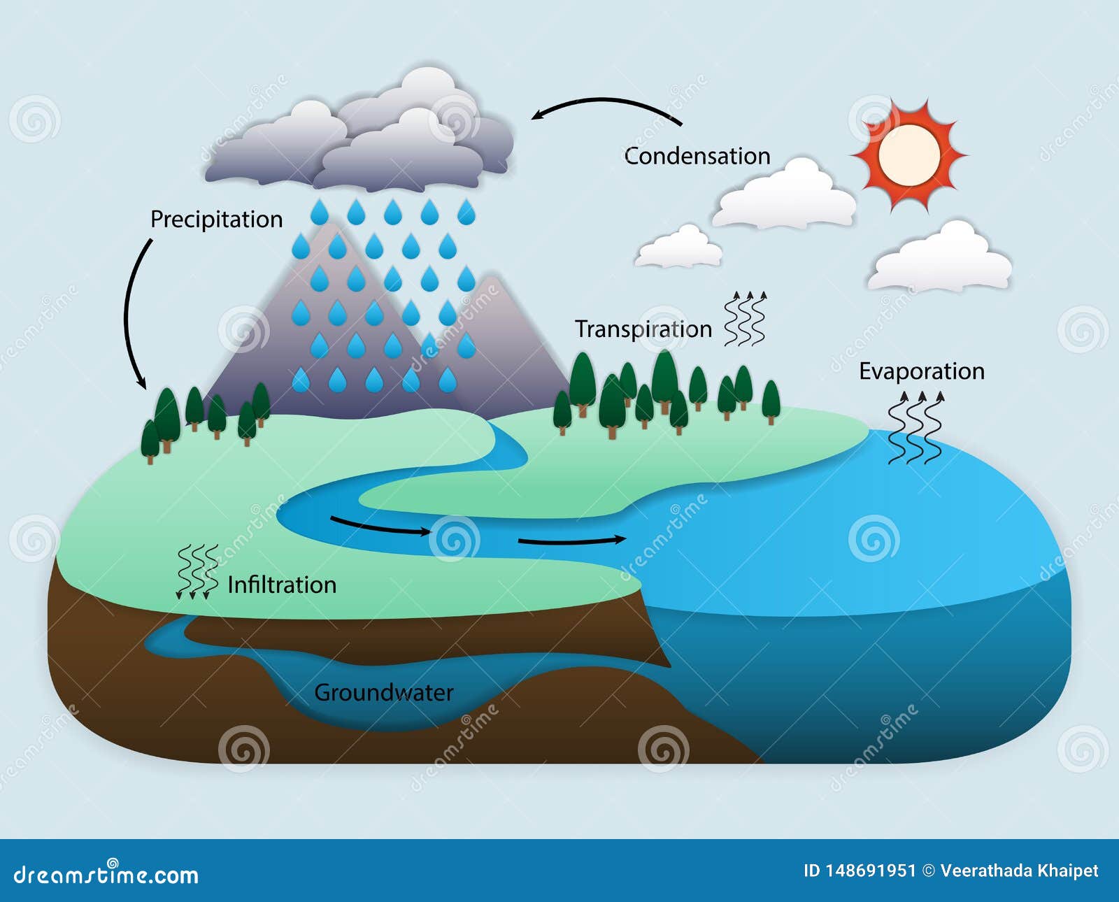 Diagrama Del Ciclo Del Agua En La Naturaleza Ilustración Del Vector