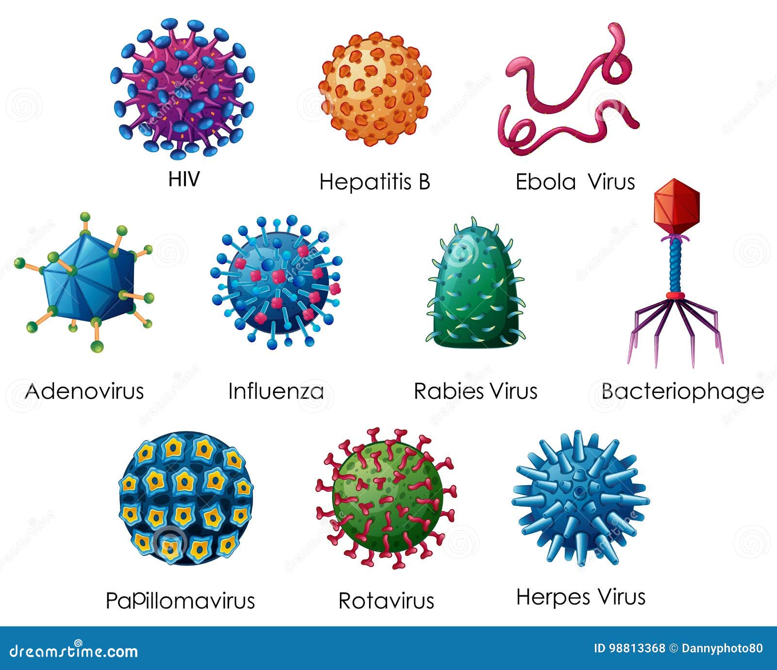 Diagramm Das Verschiedene Arten Von Viren Zeigt Vektor Abbildung Illustration Von Hepatitis Grippe