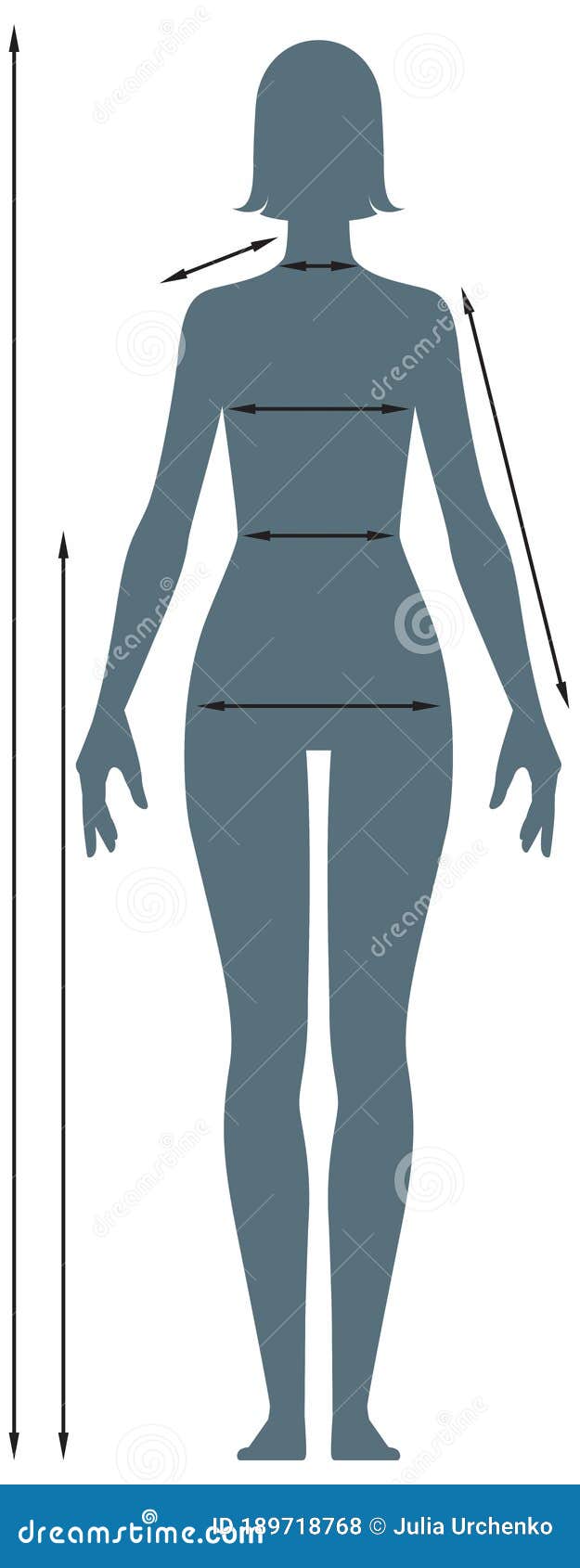 Outline measurements female body Royalty Free Vector Image