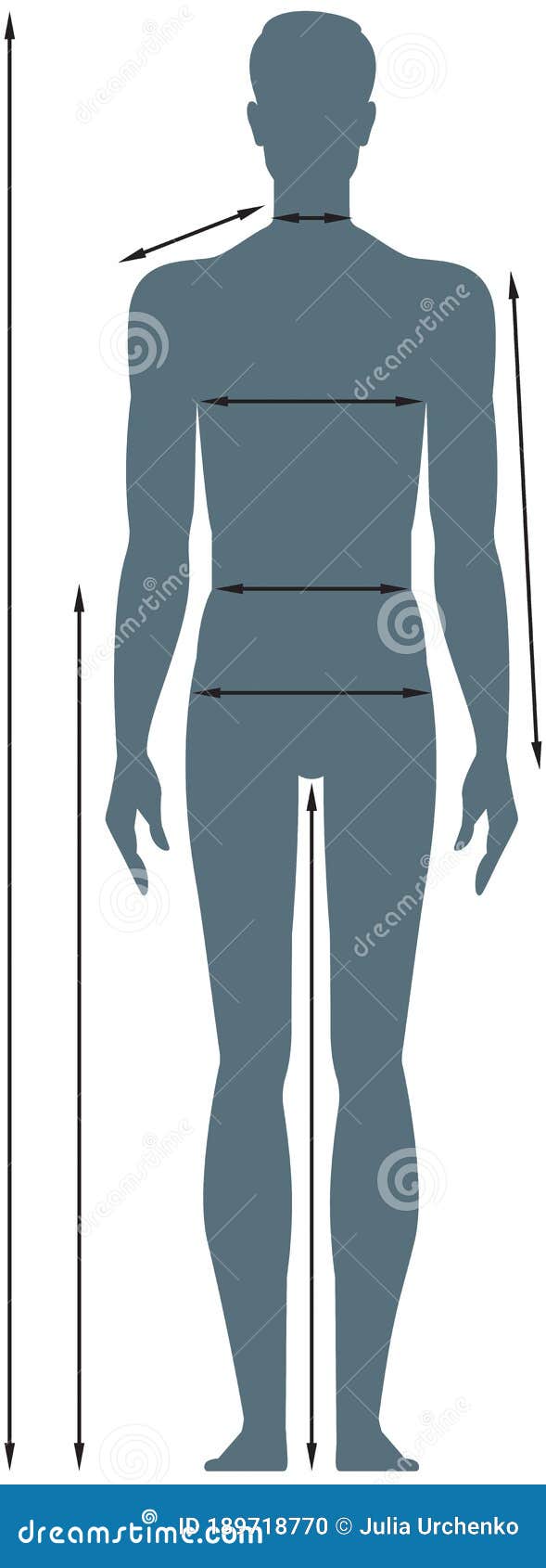 Diagrams of the Male Body Measurements in Full Length. Stock Vector ...