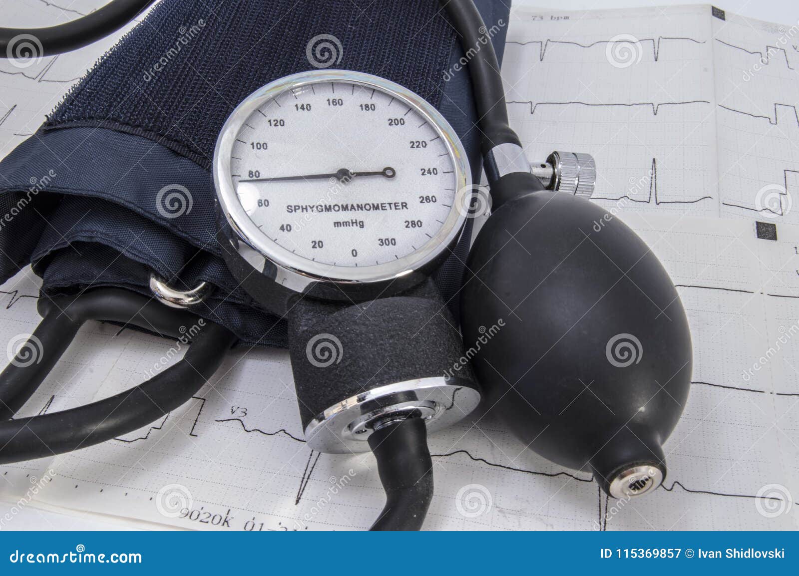 Fisiología normal de la presión arterial