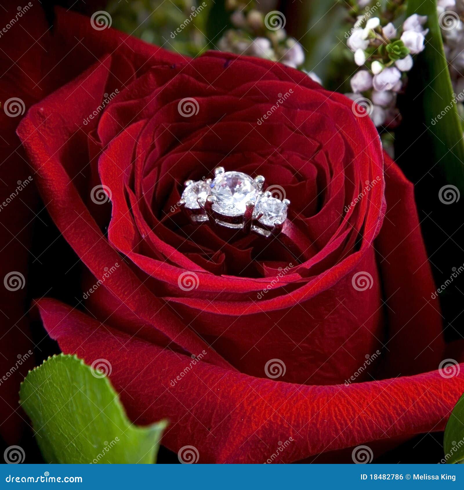 Diamant-Ring in roter Rose. Diamantring innerhalb eines Roten stieg.
