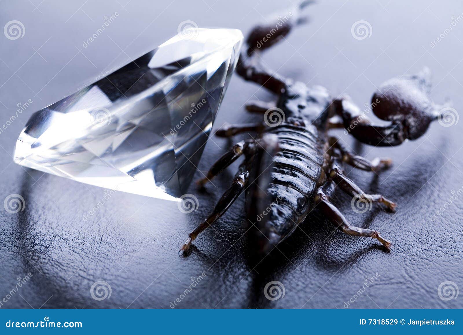 Diamante e scorpione. Gli scorpioni sono artropodi carnivori otto-forniti di gambe.