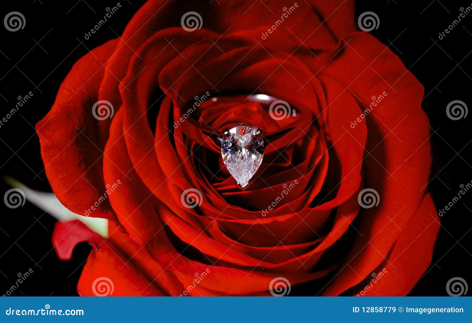 Acrylic clear with rose inside ring holder for bathroom, dresser | eBay