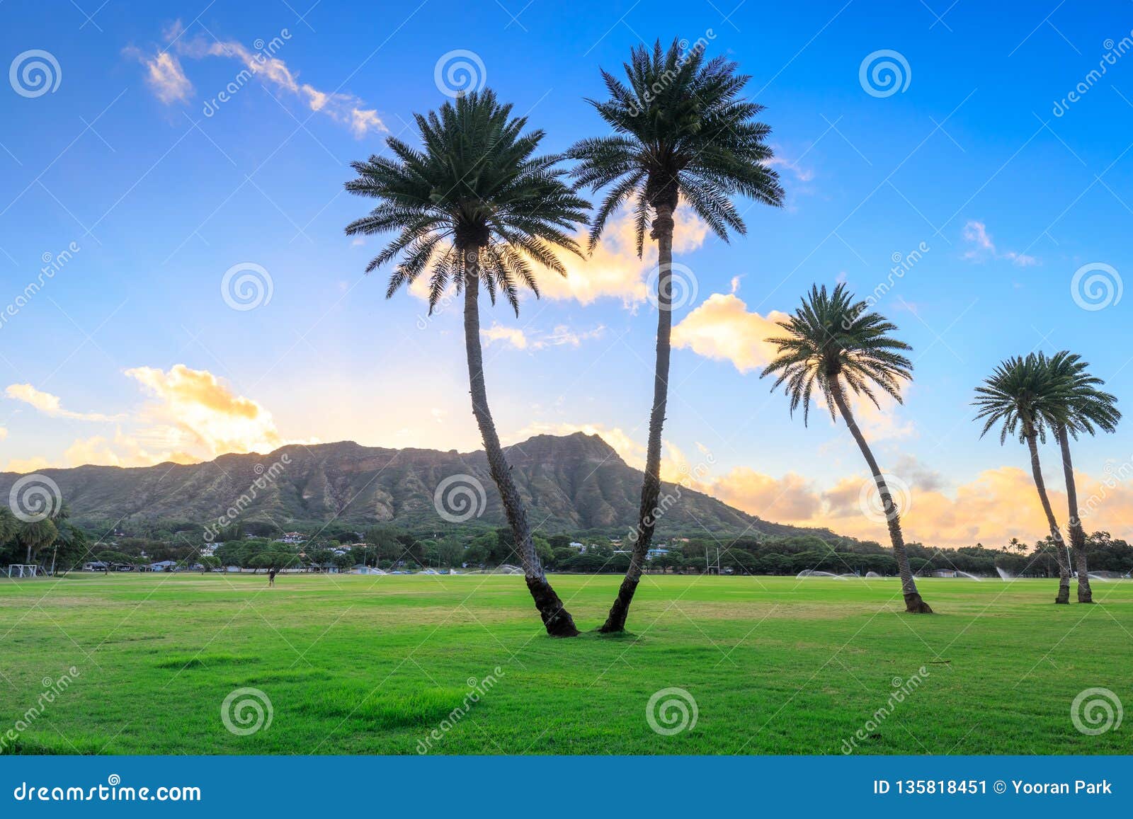 Diamond Head at Sunrise, Oahu, Hawaii Stock Image Image of panorama