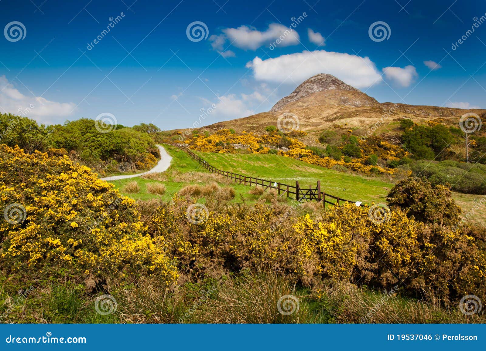 Diamond Hill stock photo. Image of flowers, connemara 19537046