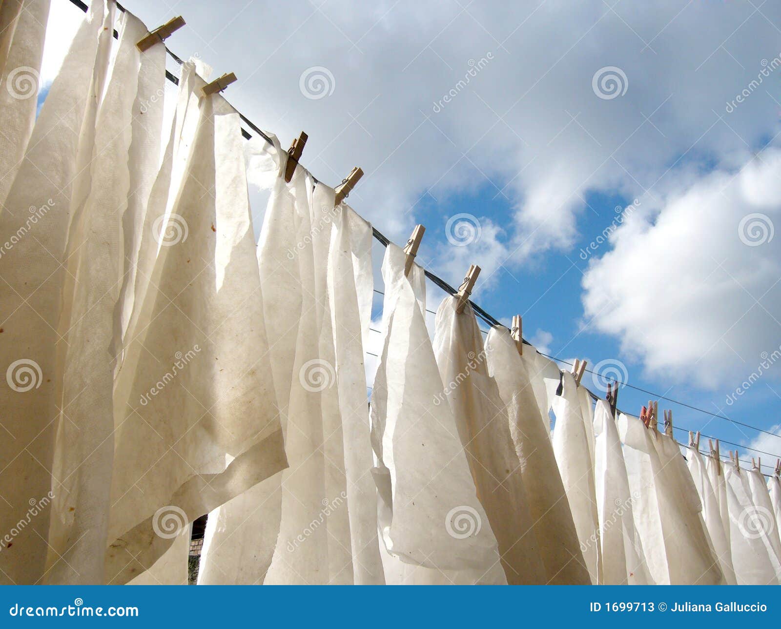 Diapers Drying Stock Photos Image 1699713