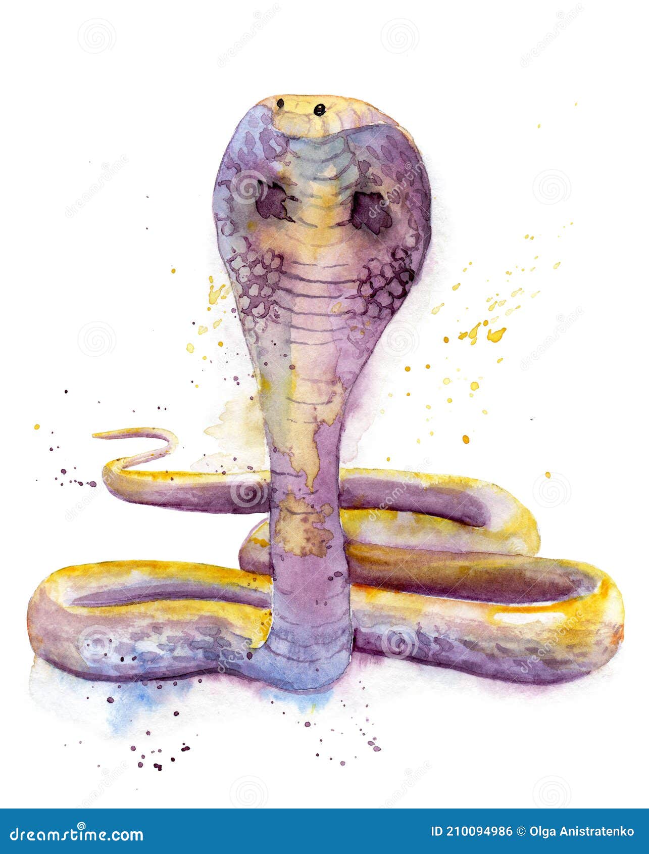 Dibujo Acuarela De Una Cobra De Serpiente Stock de ilustración -  Ilustración de cartel, trazado: 210094986