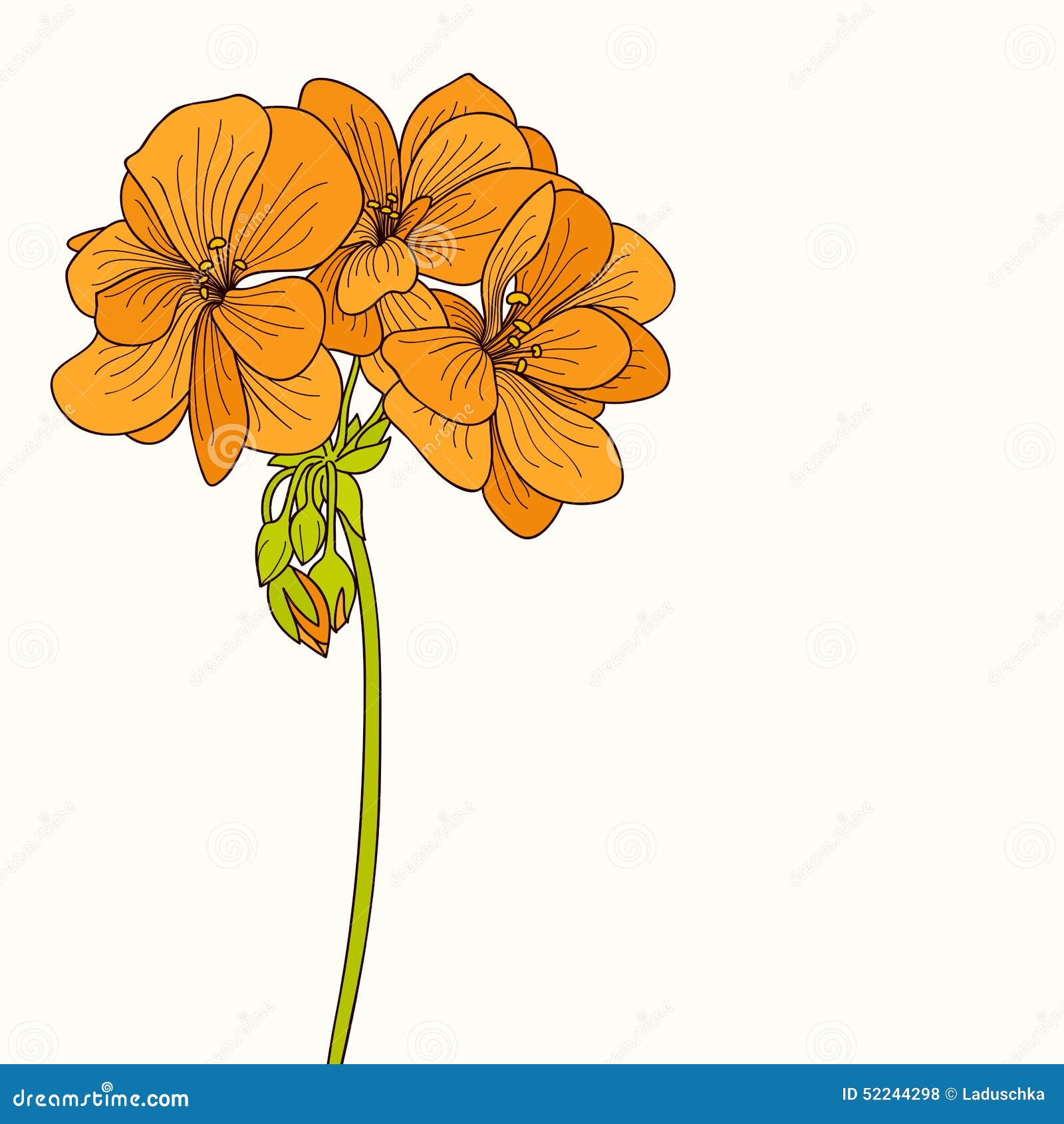 Dibujo Amarillo De La Flor Del Geranio Stock de ilustración - Ilustración de  grabado, amarillo: 52244298