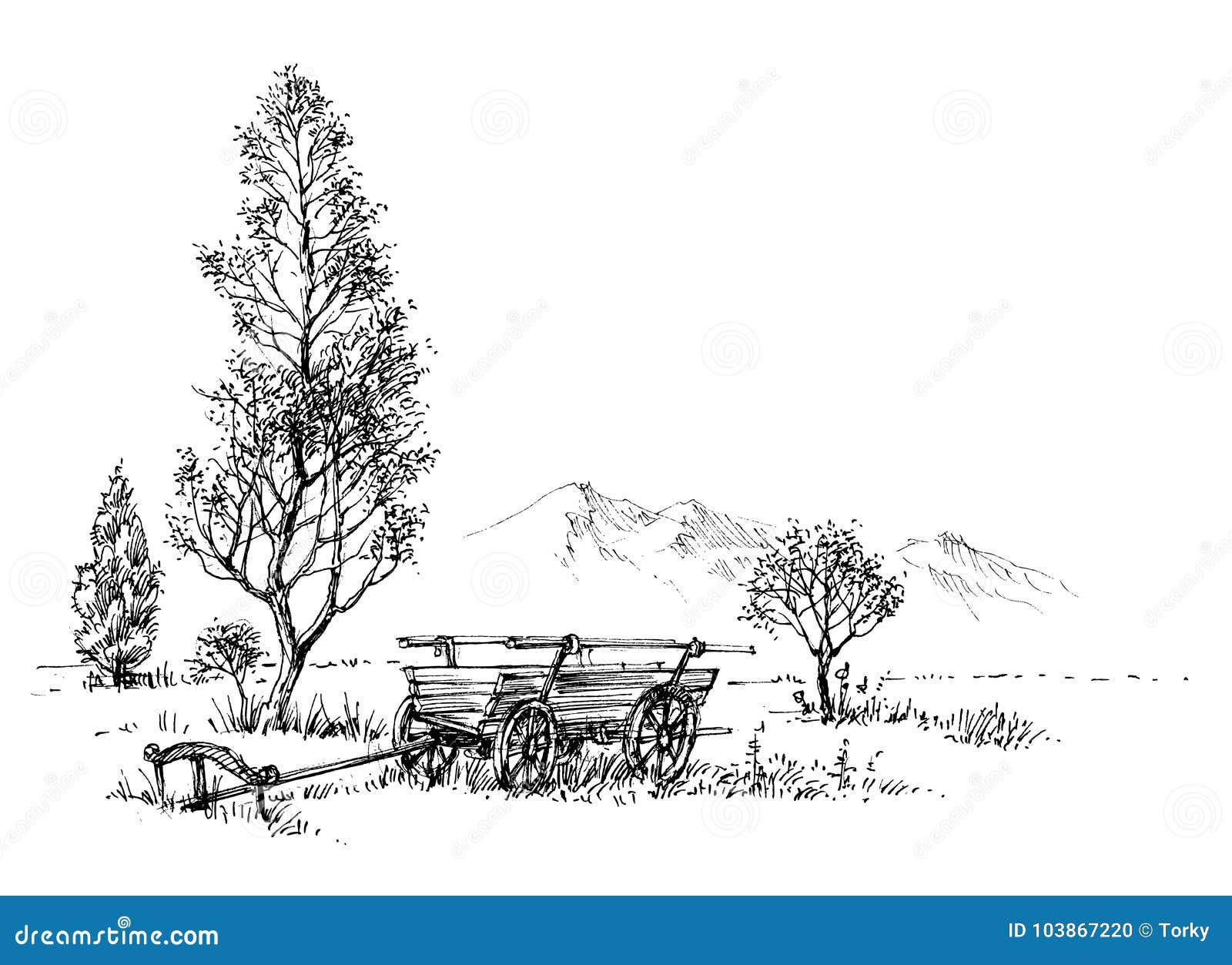 Campo De Girasoles Dibujo A Lapiz