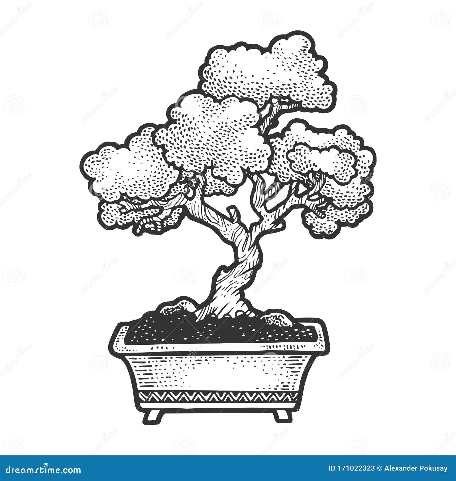 Dibujo Bonsai De árbol Grabado Ilustración Vectorial Ilustración del Vector  - Ilustración de historieta, aguafuerte: 171022323