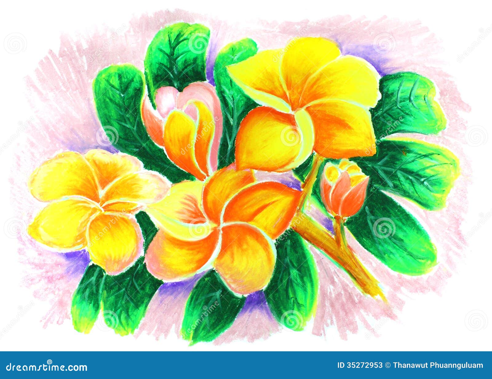 Dibujo Color De Rosa Del Desierto Imagen de archivo - Imagen de hermoso, floral: 35272953 Dibujo Color De Rosa Del Desierto Imagen de archivo - Imagen de hermoso, floral: 35272953