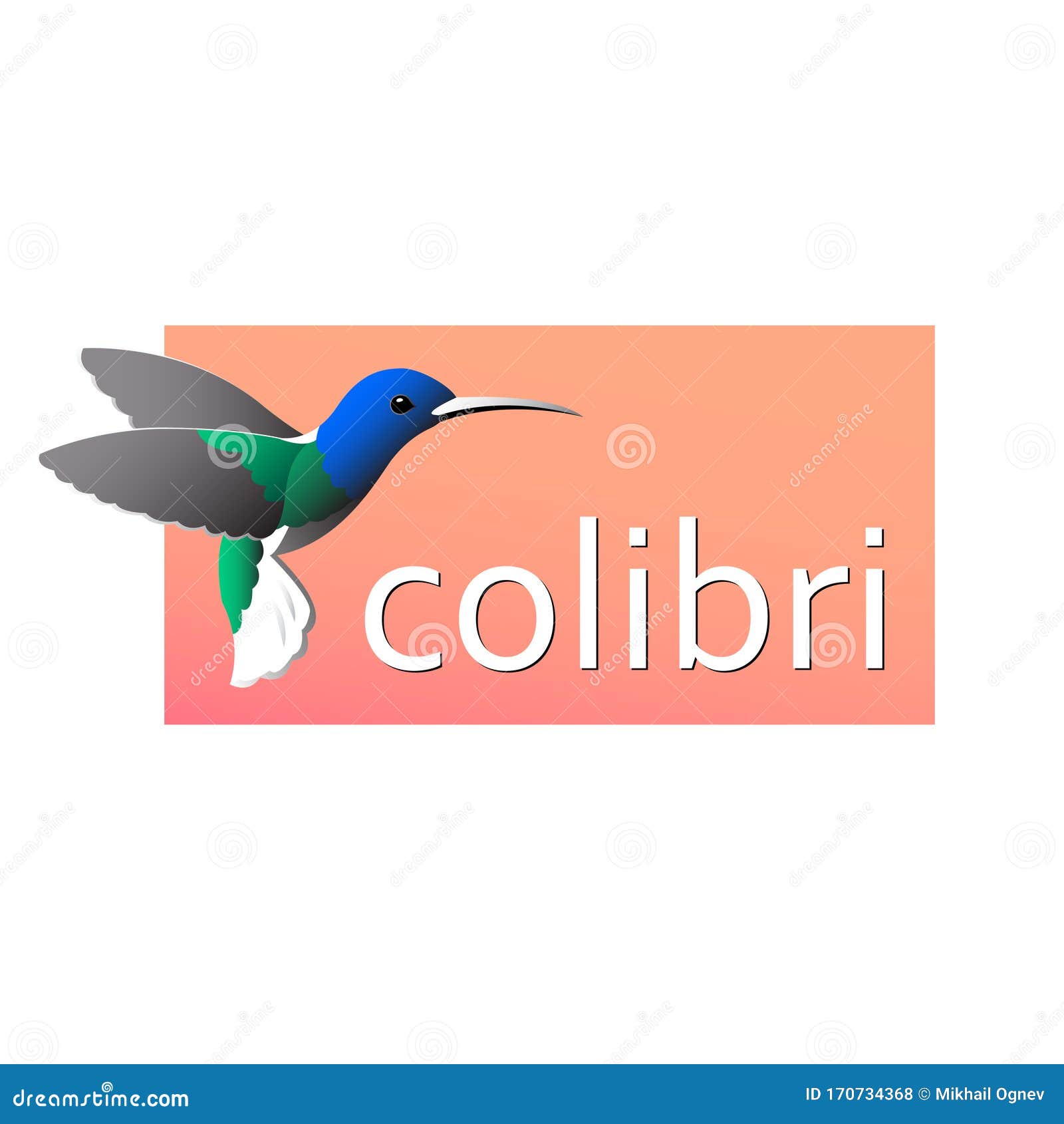 Dibujo Colorido De Un Colibri De Pájaro Ilustración del Vector -  Ilustración de vector, cuadro: 170734368