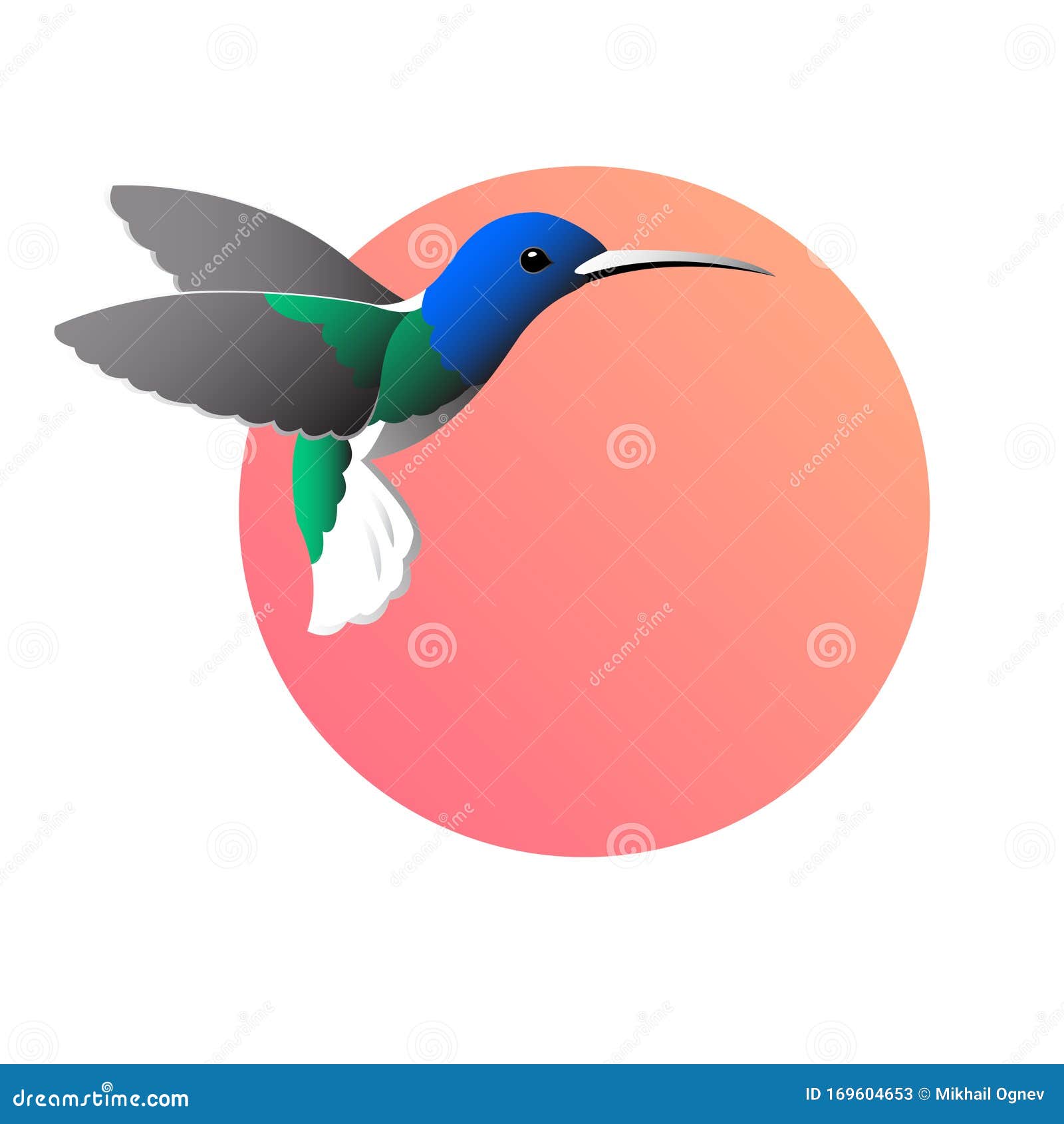 Dibujo Colorido De Un Colibri De Pájaro Sobre Un Fondo Rojo Redondo  Ilustración del Vector - Ilustración de emblema, vector: 169604653