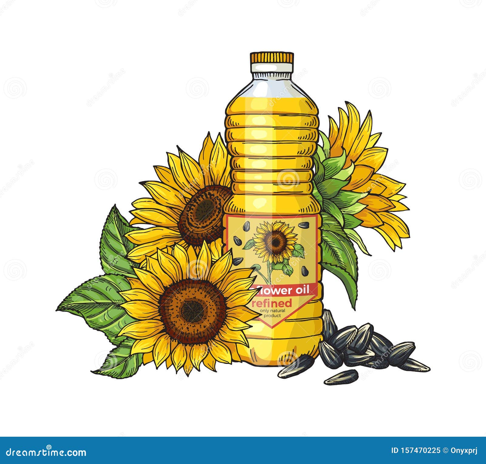 Dibujo De Aceite De Girasol. Semillas Vectoriales, Girasoles Y Botellas De  Aceite Aisladas En Fondo Blanco Ilustración del Vector - Ilustración de  germen, cocina: 157470225