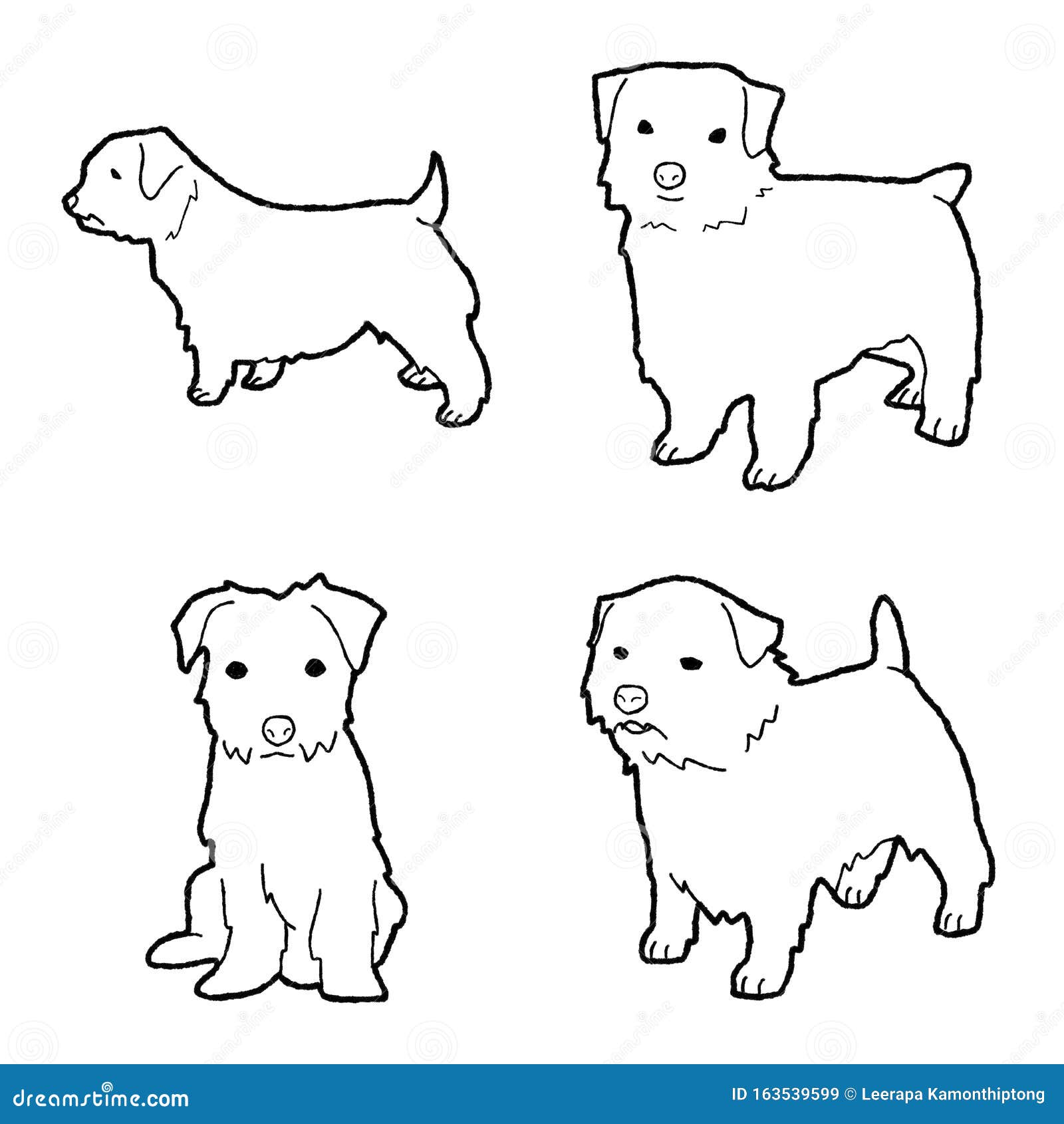 Dibujo De Arte De Caricatura Dibujado Por Una Mano En Norfolk Terrier  Animal Vector Ilustración del Vector - Ilustración de perrito, honestidad:  163539599