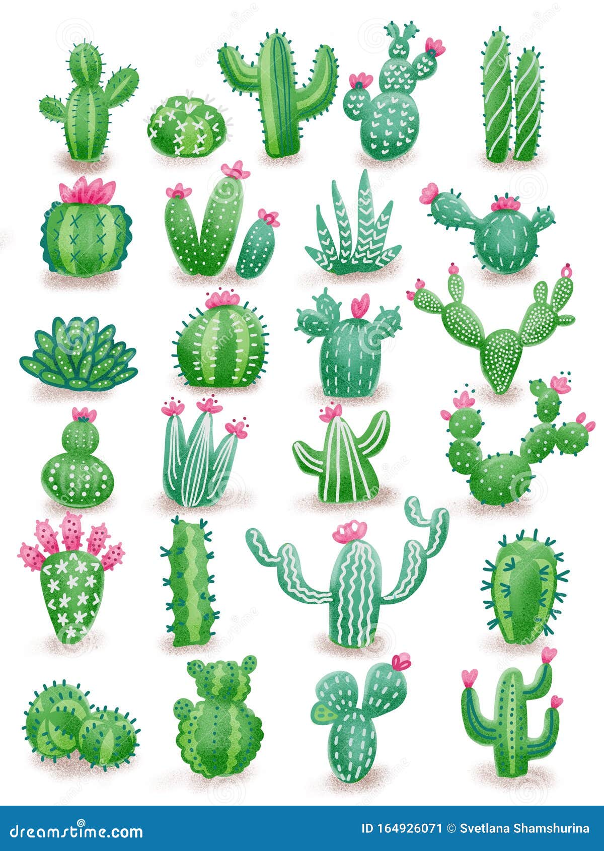 Dibujo De Cactus Sin Cacerolas , Plantas Domésticas, Suculentas, Con  Textura Manual Stock de ilustración - Ilustración de sencillo, floral:  164926071