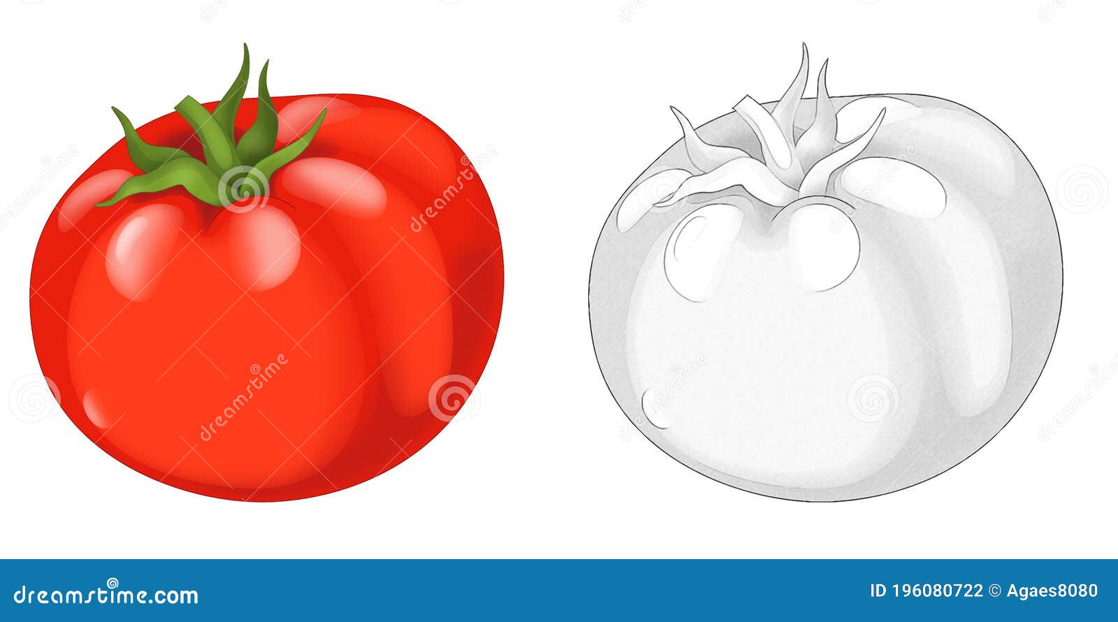 Dibujo De Dibujos Animados Escena Ilustración De Tomate Vegetal Stock de  ilustración - Ilustración de alimento, invernadero: 196080722