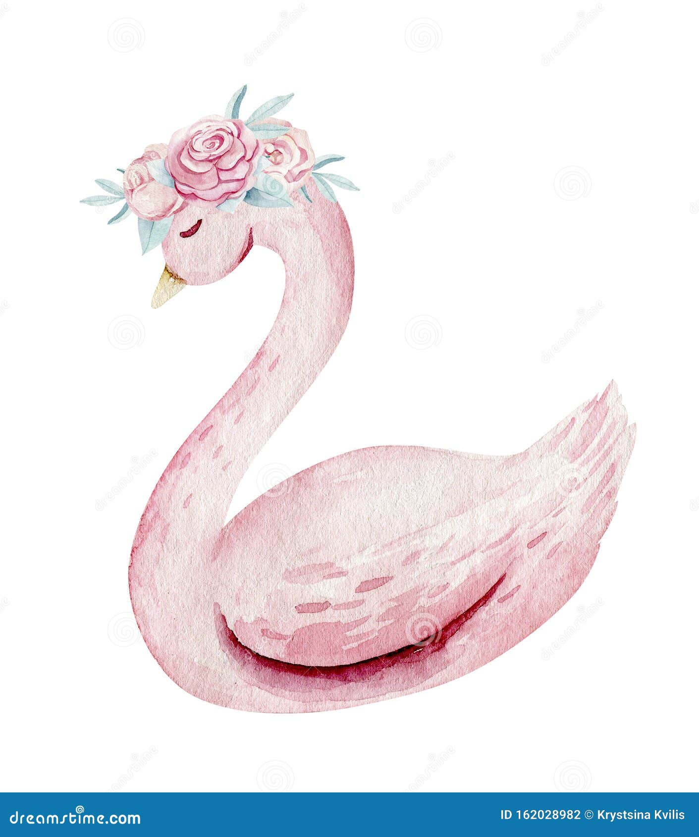 Dibujo De Dibujos Animados De Una Niña Cisne De Color Agua Conjunto De  Ilustraciones De Cumpleaños Rosado De Bebé Recién Nacido Foto de archivo -  Imagen de cochecillo, feliz: 162028982