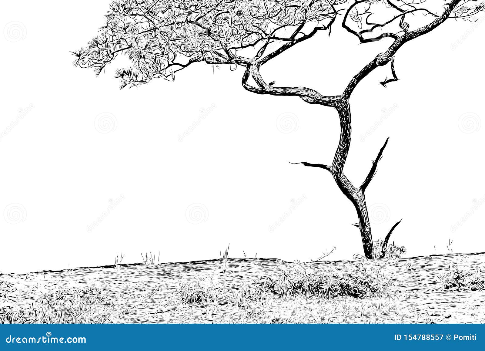Dibujo De Digitaces Del árbol De Pino En Color Blanco Y Negro En El Fondo Blanco Stock de ilustración - Ilustración de rastreado, exterior: 154788557 Dibujo De Digitaces Del árbol De Pino En Color Blanco Y Negro En El Fondo Blanco Stock de ilustración - Ilustración de rastreado, exterior: 154788557