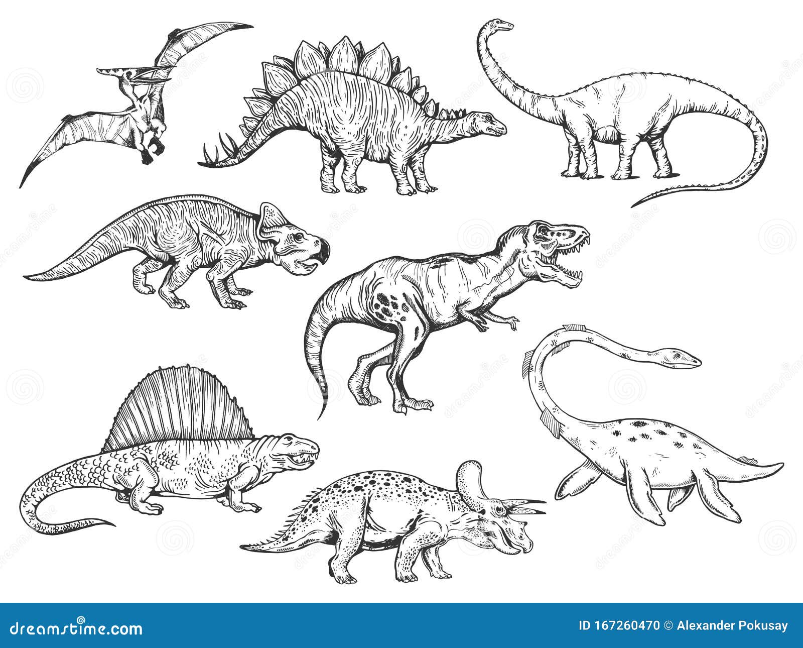Dibujo De Dinosaurios Grabado Ilustración Vectorial Ilustración del Vector  - Ilustración de ilustraciones, agua: 167260470