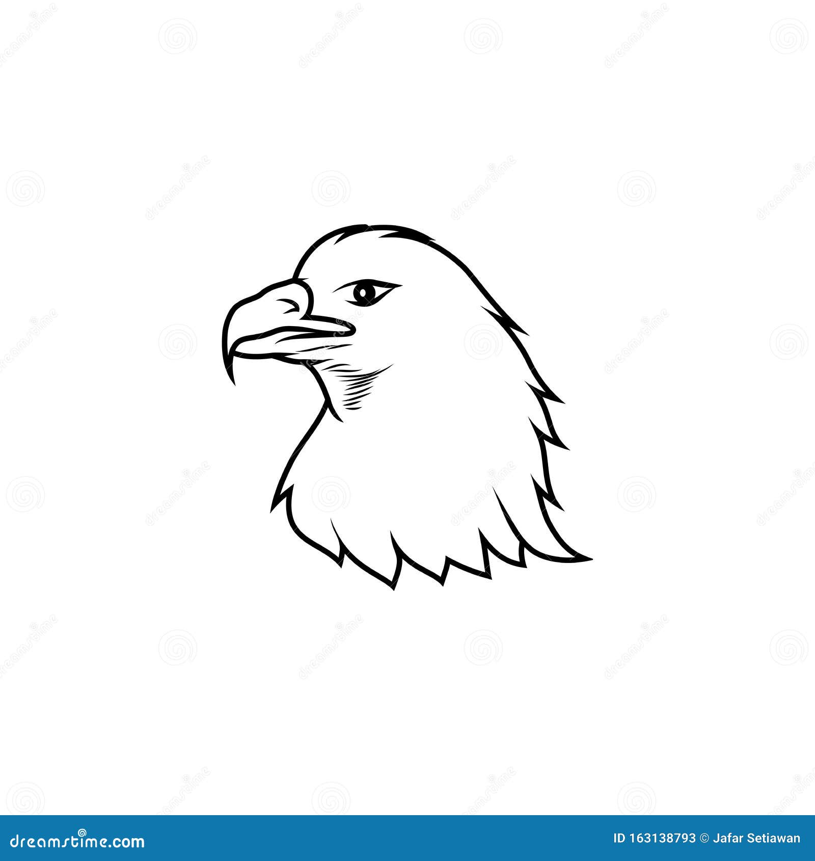 Dibujo De Esquema De Ilustración Del águila De Cabeza Ilustración del  Vector - Ilustración de fondo, salvaje: 163138793