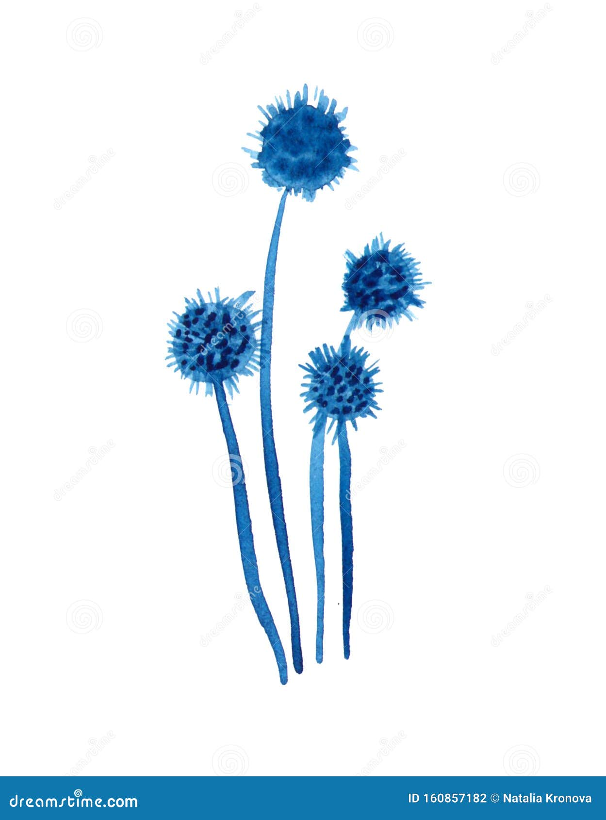 Dibujo De Flores Azul Acuarela, Ramo, Elemento De Diseño Floral, Aislado En  Fondo Blanco, Para Invitación a La Boda, Stock de ilustración - Ilustración  de anuncio, pintado: 160857182