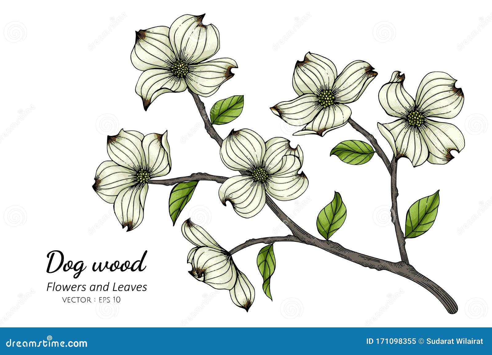 Dibujo De Dibujo De Flores Y Hojas De Madera De Palo Blanco Con Arte Lineal Sobre Fondo Blanco Ilustración del Vector - Ilustración de dogma, garabato: 171098355 Dibujo De Dibujo De Flores Y Hojas De Madera De Palo Blanco Con Arte Lineal Sobre Fondo Blanco Ilustración del Vector - Ilustración de dogma, garabato: 171098355