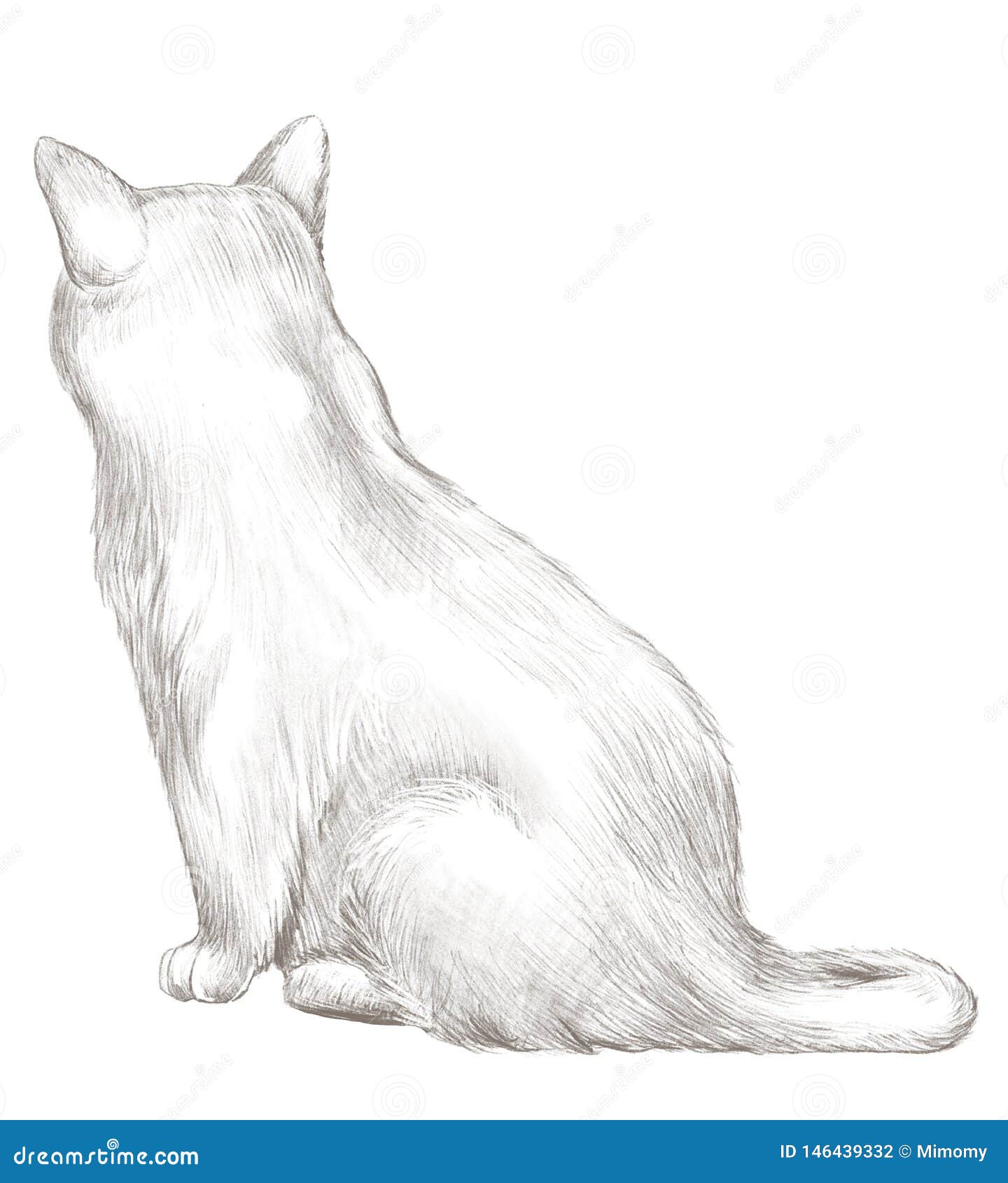 Dibujo De Lápiz Con Sentar El Gato Gris Trasero Stock de ilustración -  Ilustración de ilustraciones, felino: 146439332