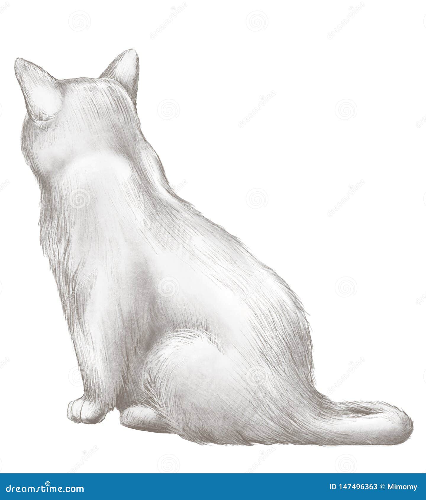 Dibujo De Lápiz Con Sentar El Gato Negro Trasero Stock de ilustración -  Ilustración de animal, arte: 147496363