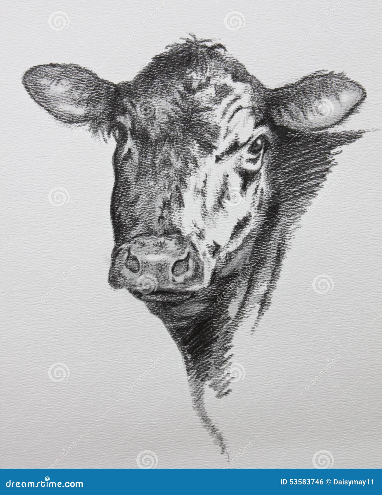 Dibujo de lápiz de la vaca stock de ilustración. Ilustración de ganados -  53583746