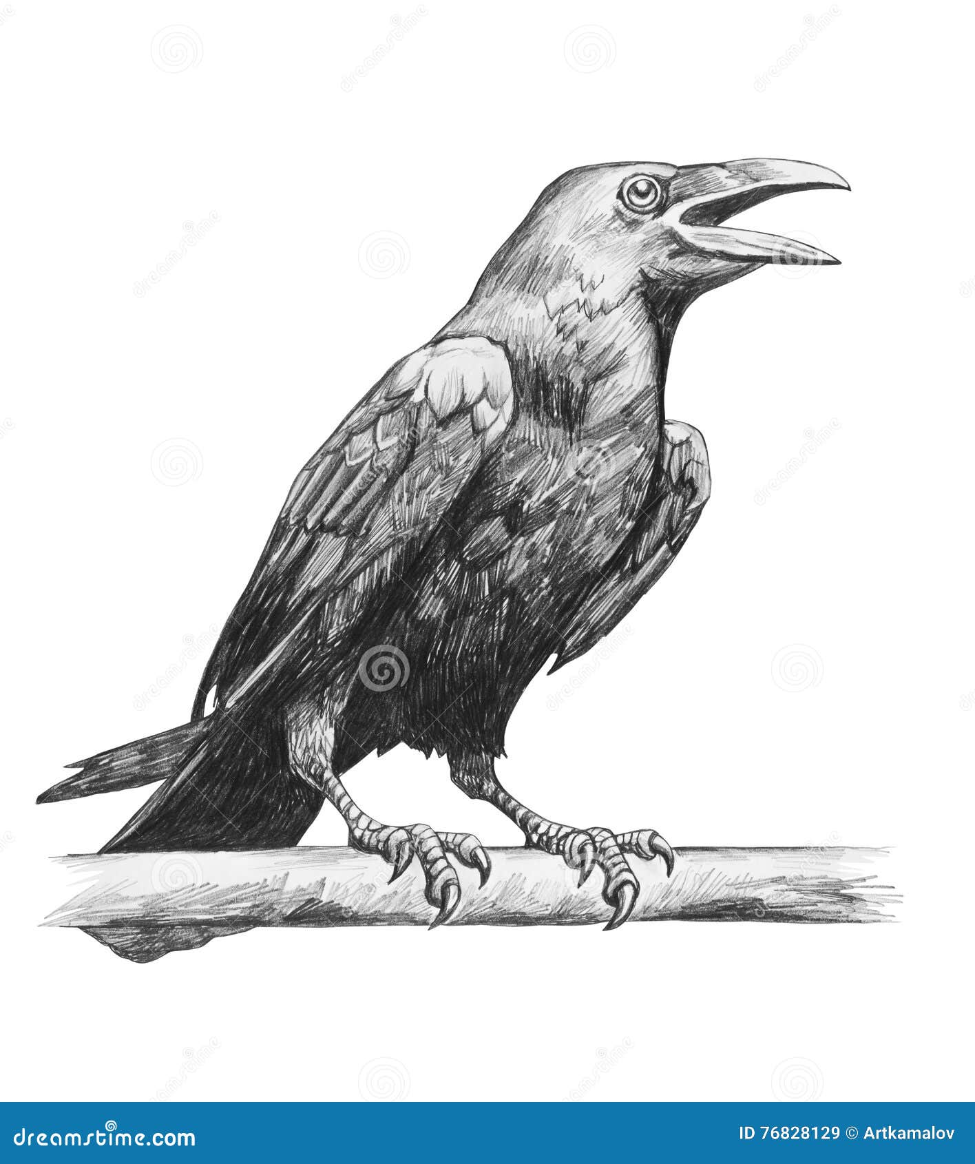 Dibujo de lápiz del cuervo stock de ilustración. Ilustración de negro -  76828129