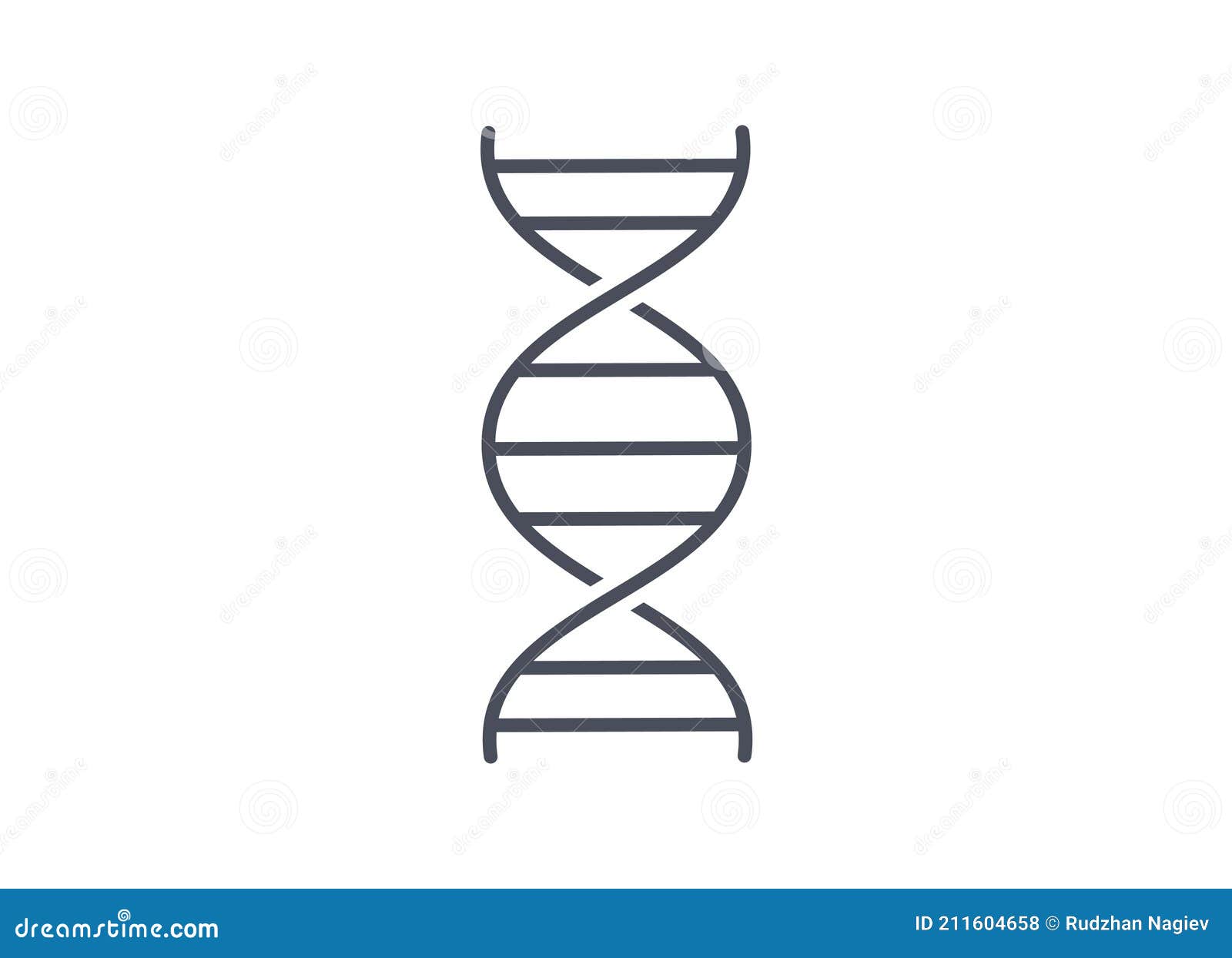 Dibujo De Línea Simple De La Molécula De Espiral Del Adn Sobre Fondo Blanco  Ilustración del Vector - Ilustración de muestra, genética: 211604658