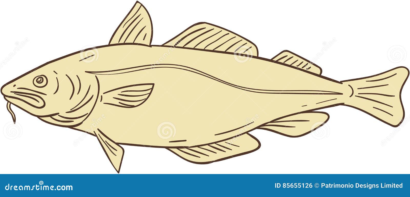 Dibujo De Los Pescados De Bacalao Atlántico Ilustración del Vector - Ilustración de bosquejo, calumnias: 85655126 Dibujo De Los Pescados De Bacalao Atlántico Ilustración del Vector - Ilustración de bosquejo, calumnias: 85655126