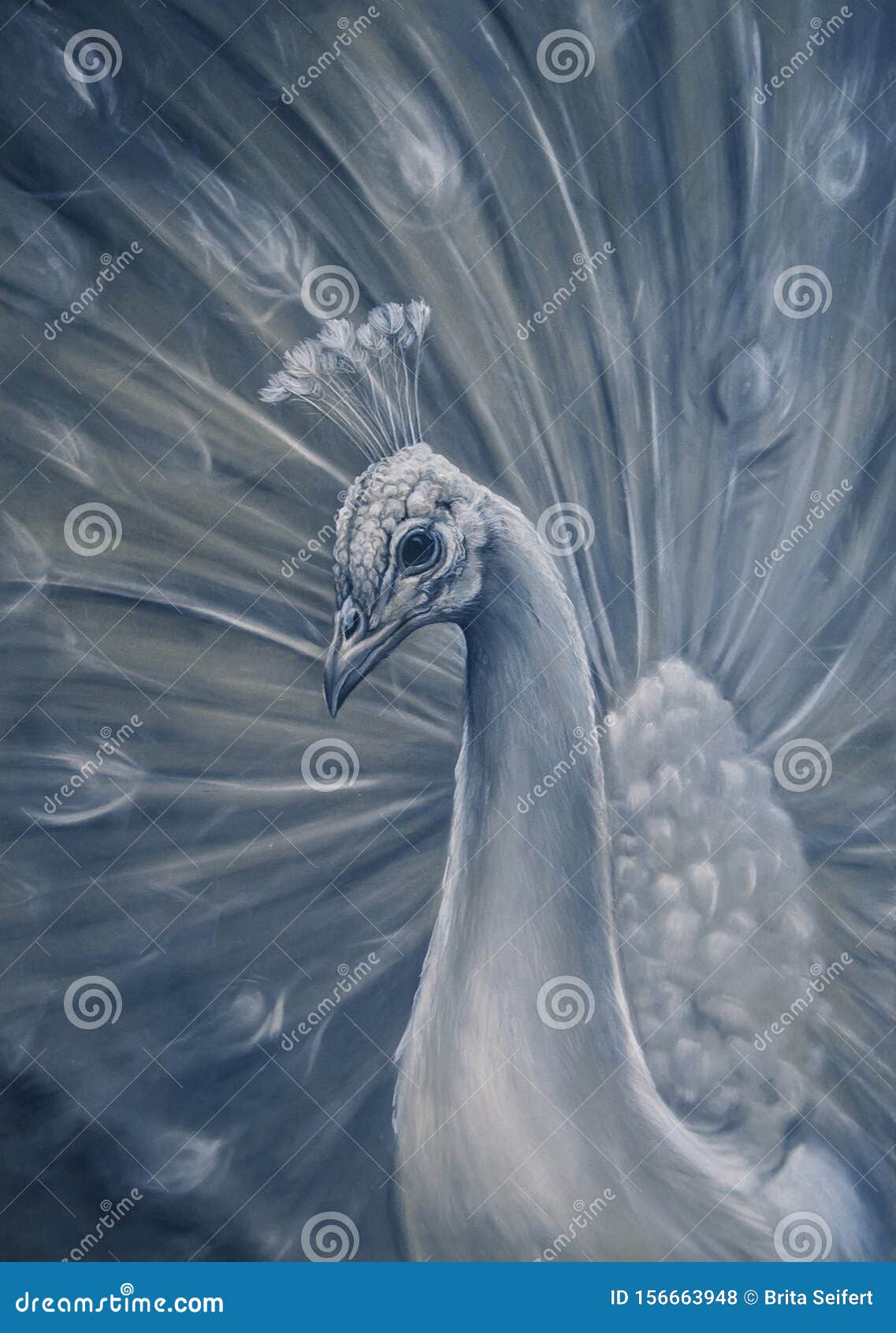 Dibujo Del Pavo Real. Ejemplo De Aves De Un Pavo Real Blanco. Pastel En  Papel Stock de ilustración - Ilustración de azul, hermoso: 156663948