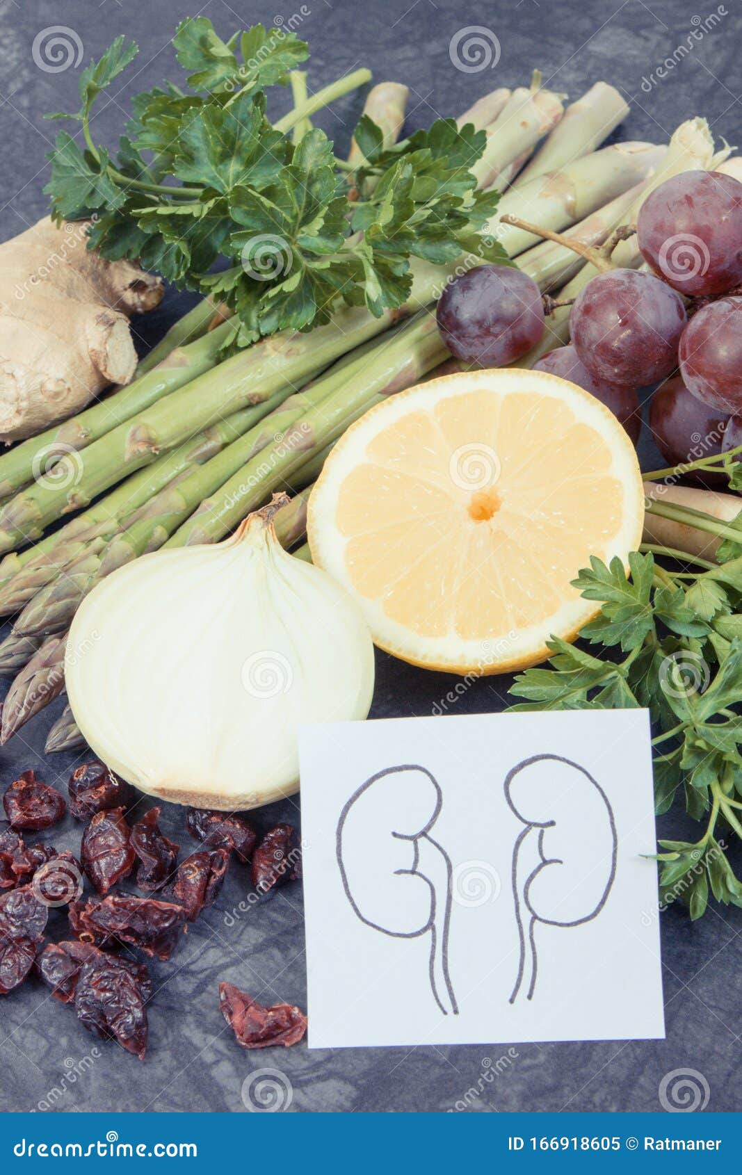 Dibujo De Riñones Y Alimentos Sanos Que Contengan Vitaminas Y Minerales  Imagen de archivo - Imagen de alimento, minerales: 166918605