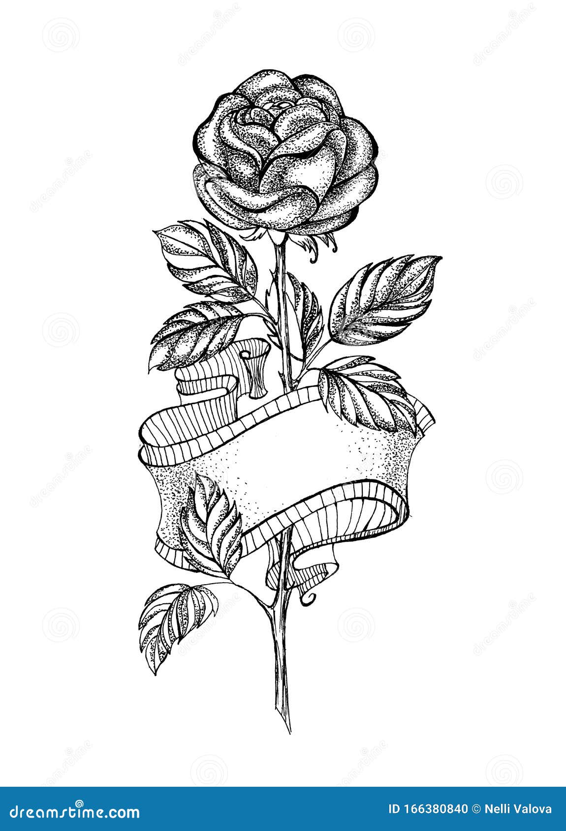 Dibujo De Rosas Con Cinta Sobre Fondo Blanco Ilustración del Vector -  Ilustración de amor, blanco: 166380840