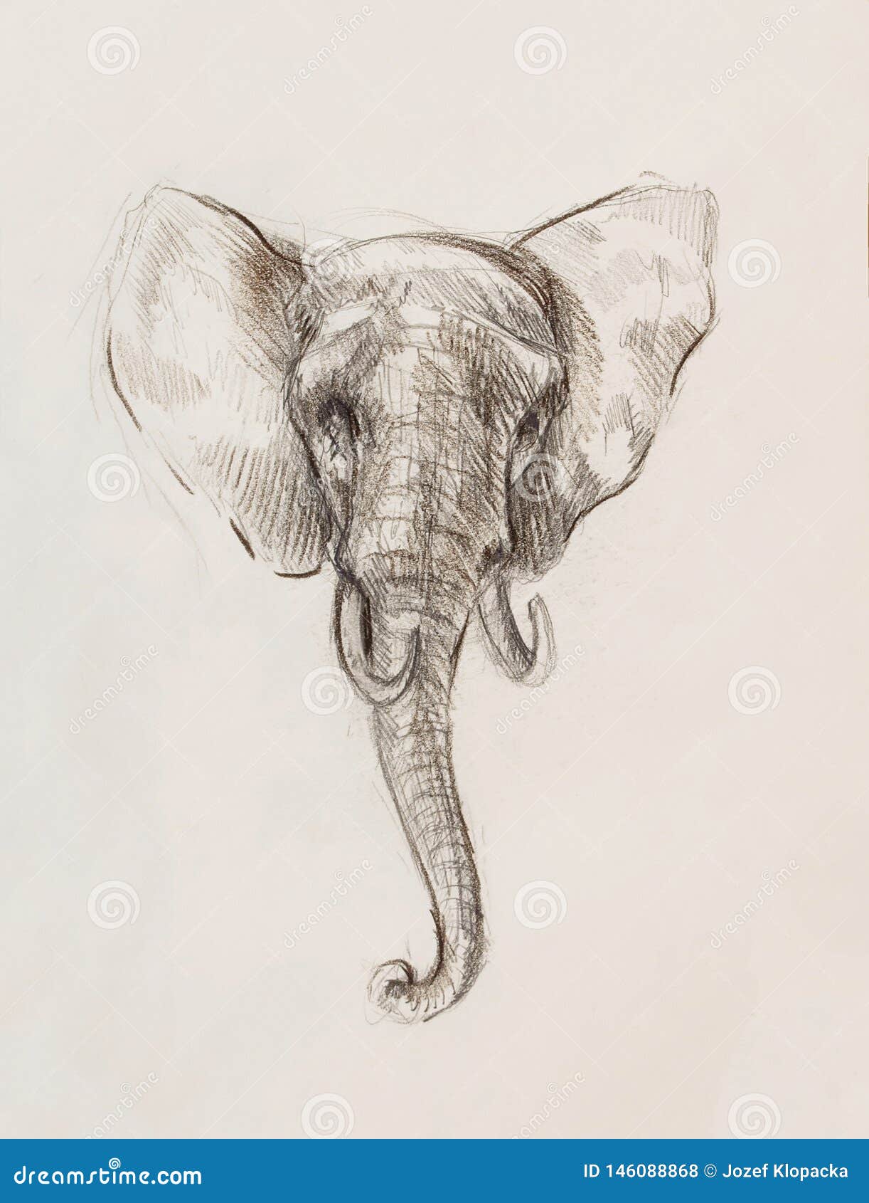 George Eliot término análogo Residencia Dibujo De Un Elefante, Dibujando Con Las Líneas Y Las Sombras Stock de  ilustración - Ilustración de antigüedad, salir: 146088868